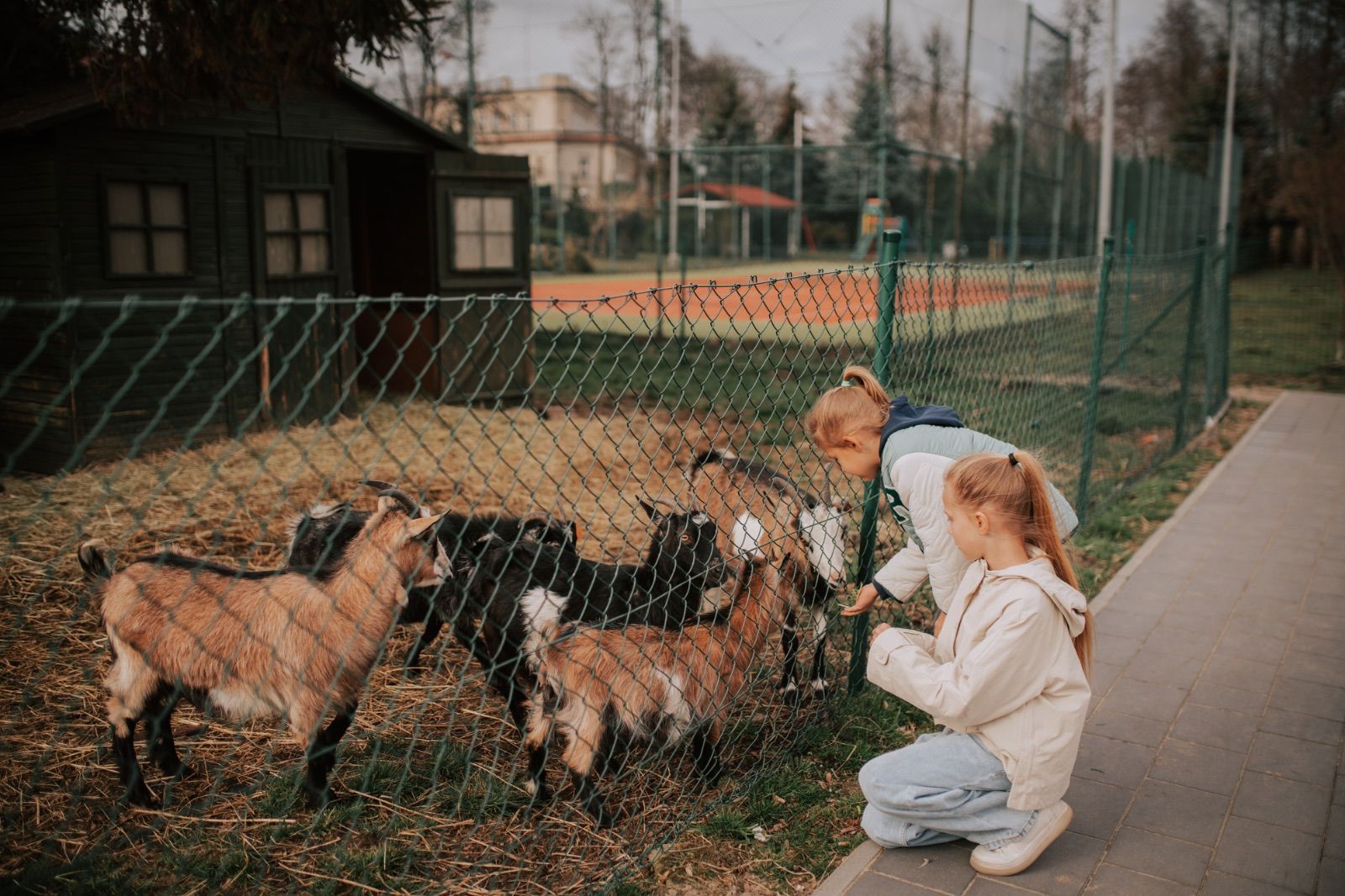 Ein Kinderfest mit Attraktionen - Spielplatz und Mini-Zoo