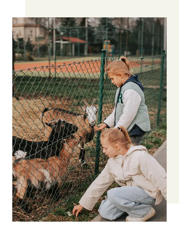Kinder füttern Ziegen am Spielplatz und Mini-Zoo des Hotels Toscania